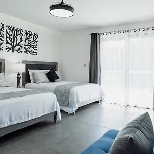 https://dreams-apartments-1-loft-a-9-minutos-de-la-playa.quintano-roohotels.com